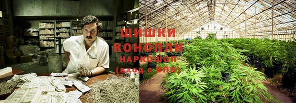 не бодяженный Новозыбков