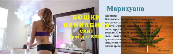 шишки Бердск