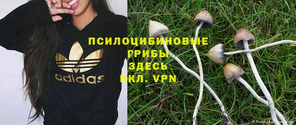 каннабис Новокубанск