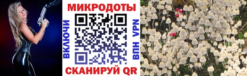 Псилоцибиновые грибы ЛСД  Усть-Джегута 